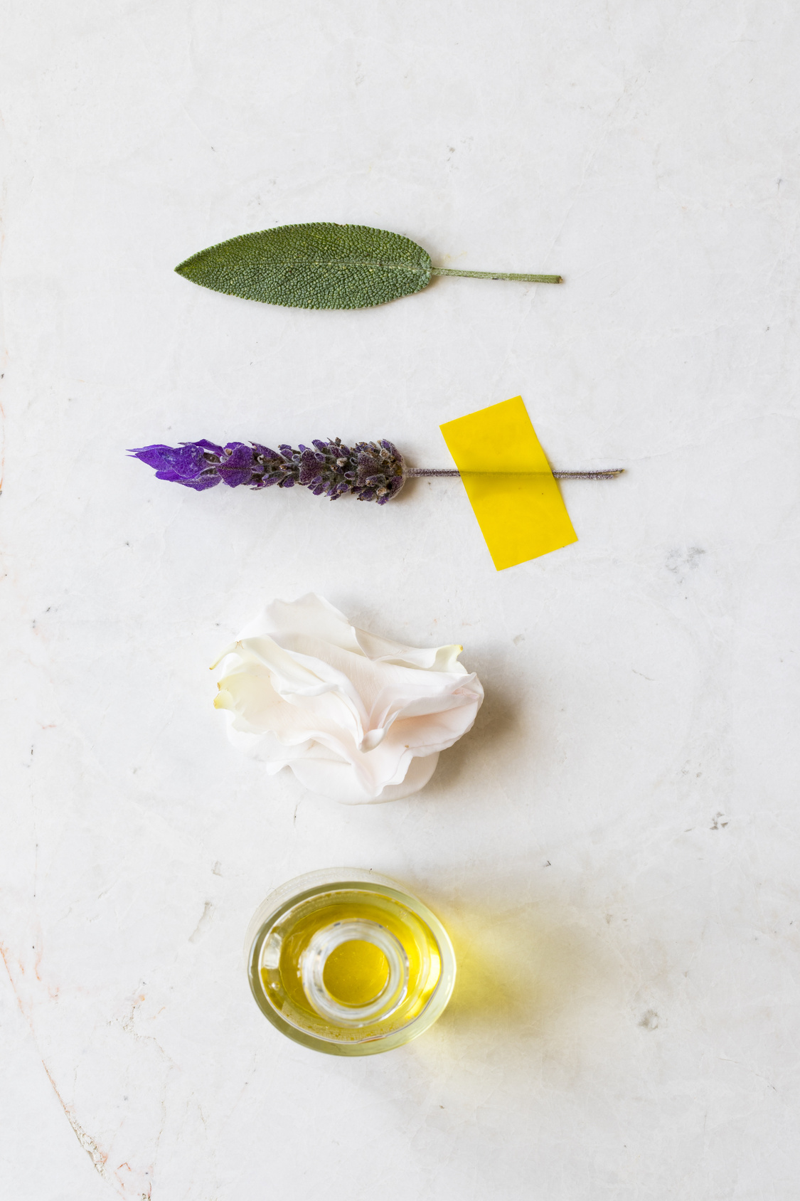 Plant based aromatherapy oils